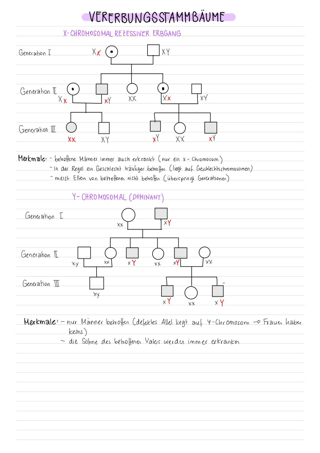 Generation I
Generation II
Generation
Merkmale:
Generahon
Generation I
56
aa
2 A
Generation I
OOO
Generation
AUTOSOMAL-DOMINANTER ERBGANG
Ge
