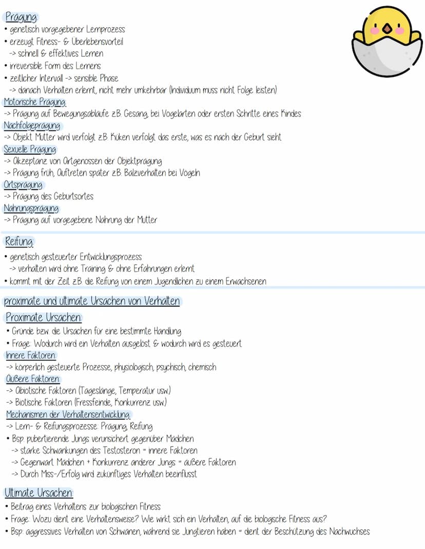 Verhaltensbiologie
Klassische Konditionierung nach Pawlow:
Unbedingter Reiz Reiz, der ohne vorangegangenes Lernen eine (unbedingte) Reaktion