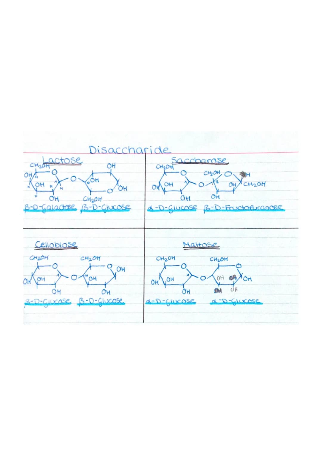 Chemie Übersicht Kohlenhydrate