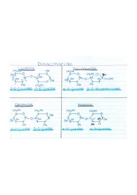 Know Chemie Übersicht Kohlenhydrate thumbnail