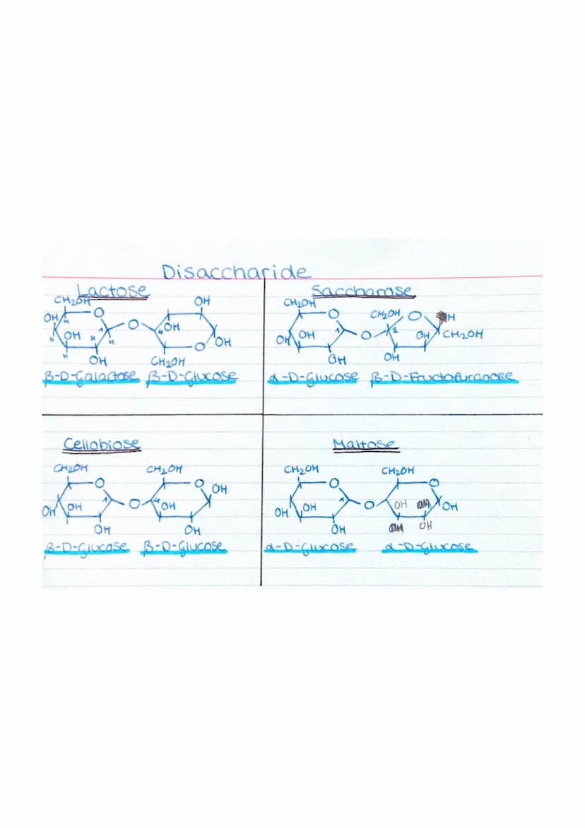 CH₂0 actose
O
OHA
Ko
OH H
H
H
CH₂OH
Cellabiose
OH OH
Disaccharide
OOH
OH
CH₂OH
B-D-Calactose B-D-Glucose
OH
B-D-CILxase
OH
CH₂OH
Fron
OH
OH
