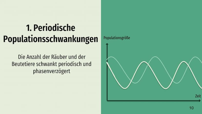 Räuber-Beute-Beziehung
Lotka-Volterra-Regeln Räuber - Beute - Beziehung
→
Definition
Räuber
Inhaltsverzeichnis
Beute
Populationsentwicklung
