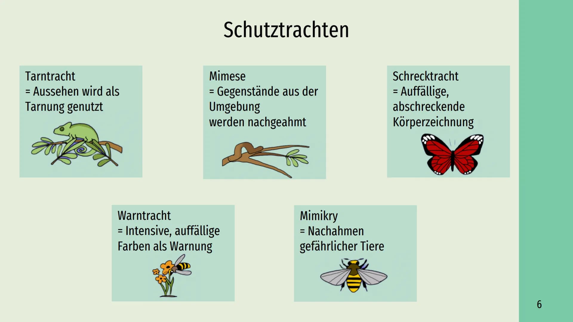 Räuber-Beute-Beziehung
Lotka-Volterra-Regeln Räuber - Beute - Beziehung
→
Definition
Räuber
Inhaltsverzeichnis
Beute
Populationsentwicklung
