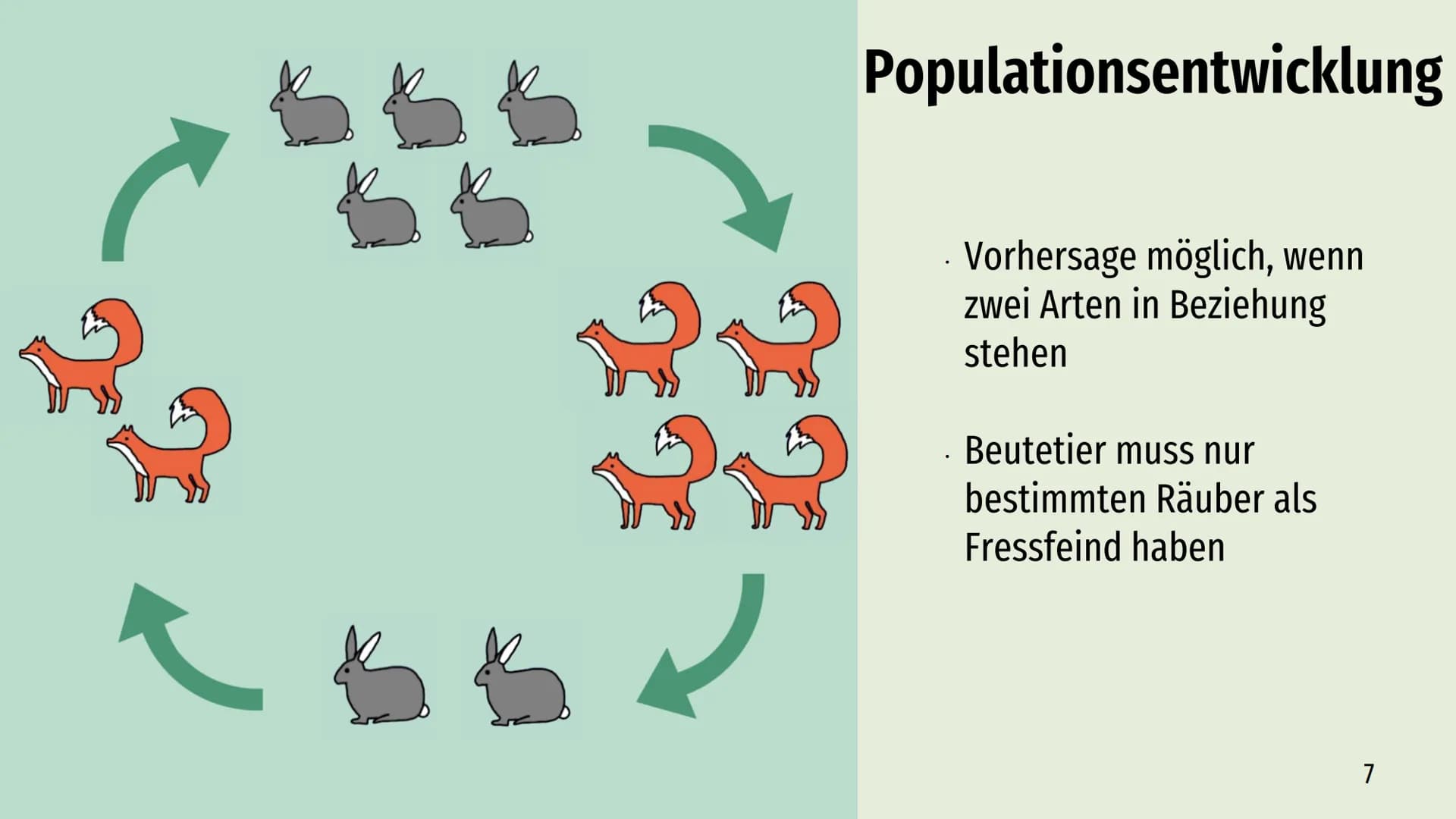 Räuber-Beute-Beziehung
Lotka-Volterra-Regeln Räuber - Beute - Beziehung
→
Definition
Räuber
Inhaltsverzeichnis
Beute
Populationsentwicklung
