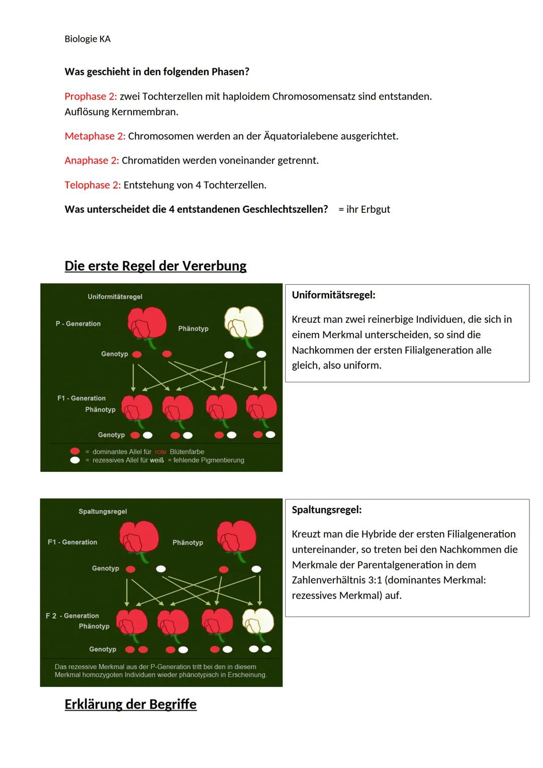 Biologie KA
Lexikon der Fachbegriffe der Genetik
Begriff
Chromatin
DNA
Gen
Genom
Chromosom
Chromatid
Centromer
Karyogramm
Diploider Chromoso