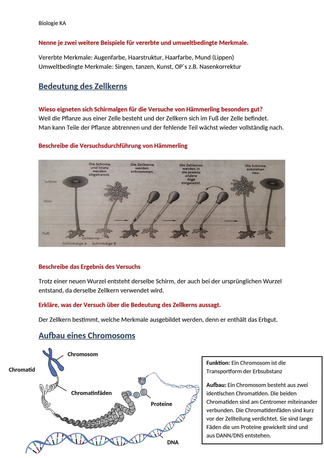 Biologie KA
Lexikon der Fachbegriffe der Genetik
Begriff
Chromatin
DNA
Gen
Genom
Chromosom
Chromatid
Centromer
Karyogramm
Diploider Chromoso