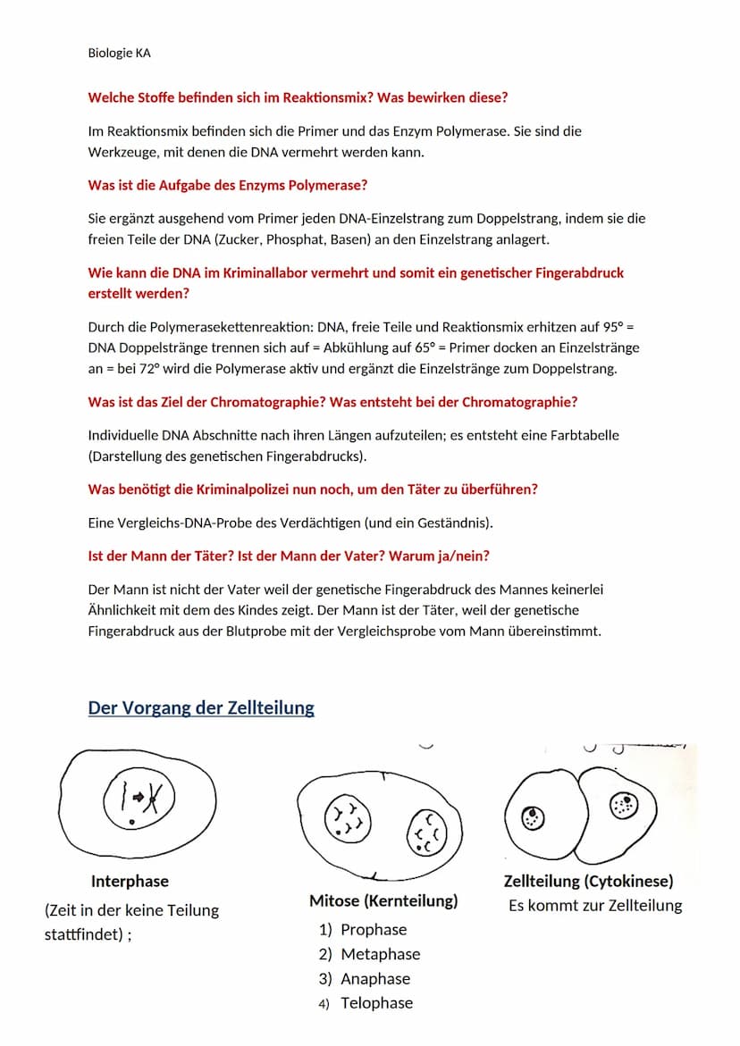 Biologie KA
Lexikon der Fachbegriffe der Genetik
Begriff
Chromatin
DNA
Gen
Genom
Chromosom
Chromatid
Centromer
Karyogramm
Diploider Chromoso