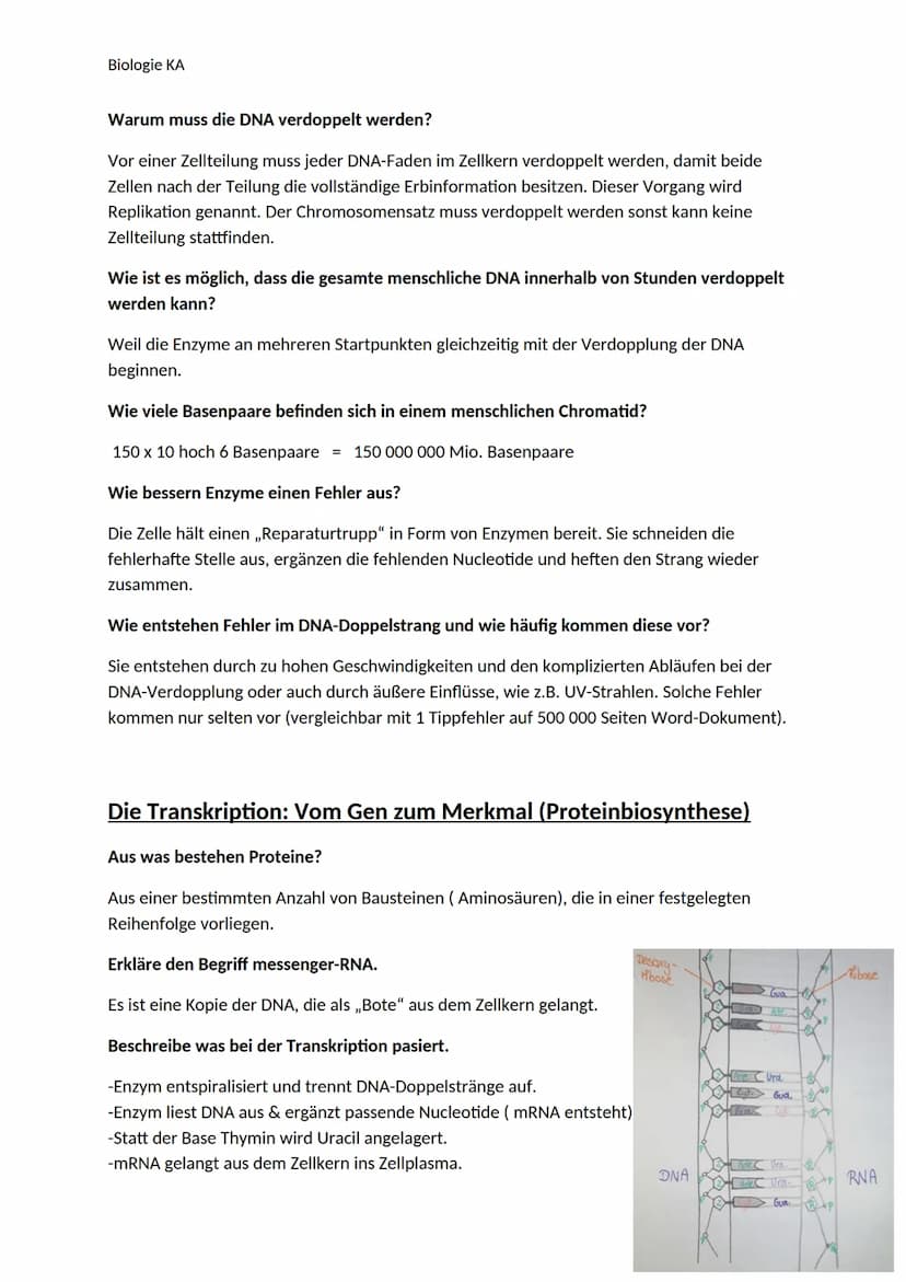 Biologie KA
Lexikon der Fachbegriffe der Genetik
Begriff
Chromatin
DNA
Gen
Genom
Chromosom
Chromatid
Centromer
Karyogramm
Diploider Chromoso