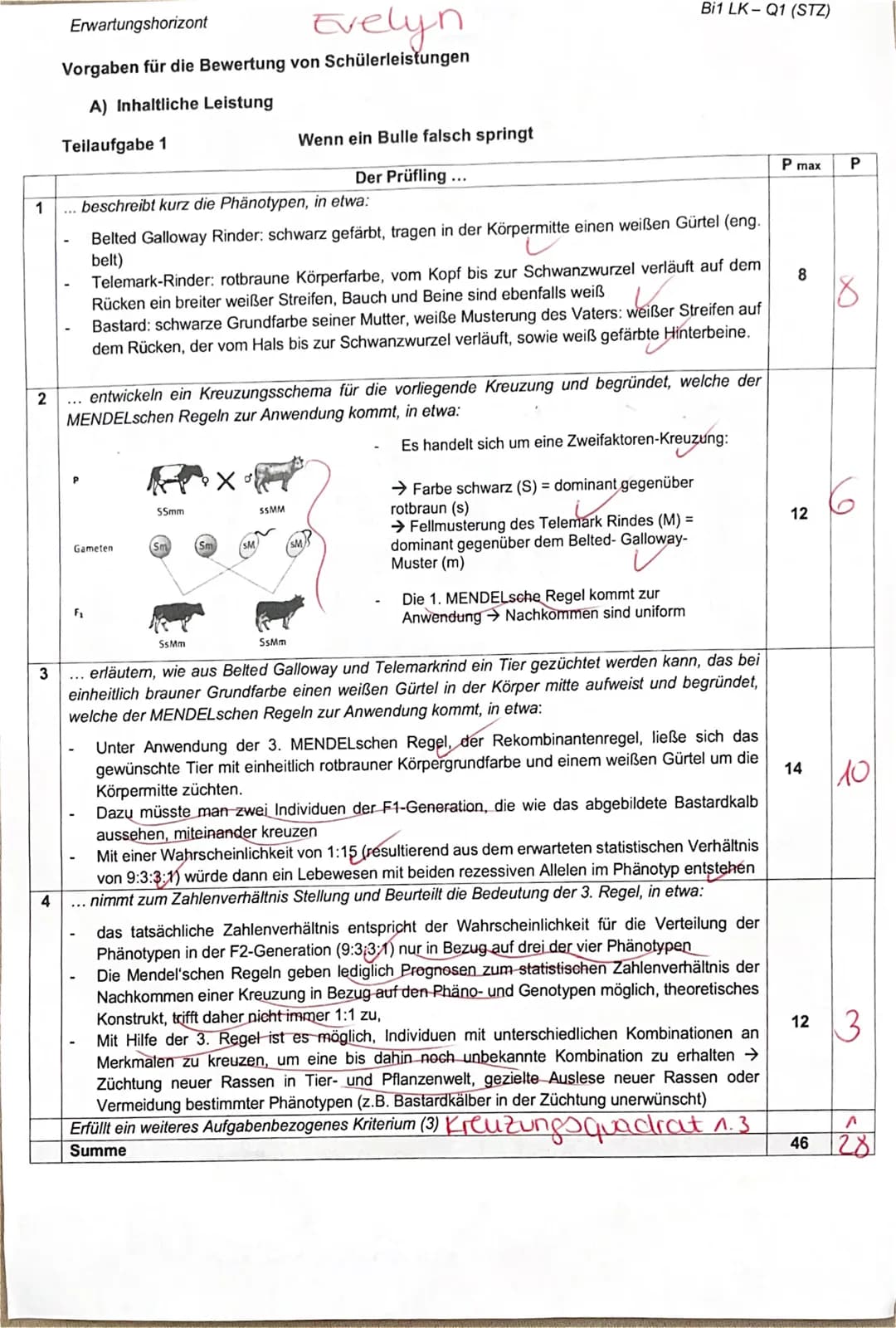 Bi1 - Q1 (Stz)
150 Minuten
II. Thalassämie - eine erblich bedingte Krankheit
1. Biologieklausur LK
- Genetik -
II.1 Erklären Sie, wie die Kr