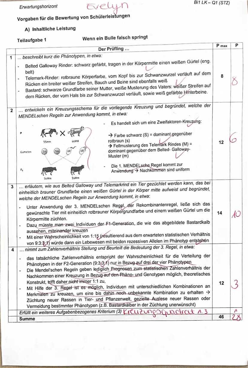 Bi1 - Q1 (Stz)
150 Minuten
II. Thalassämie - eine erblich bedingte Krankheit
1. Biologieklausur LK
- Genetik -
II.1 Erklären Sie, wie die Kr
