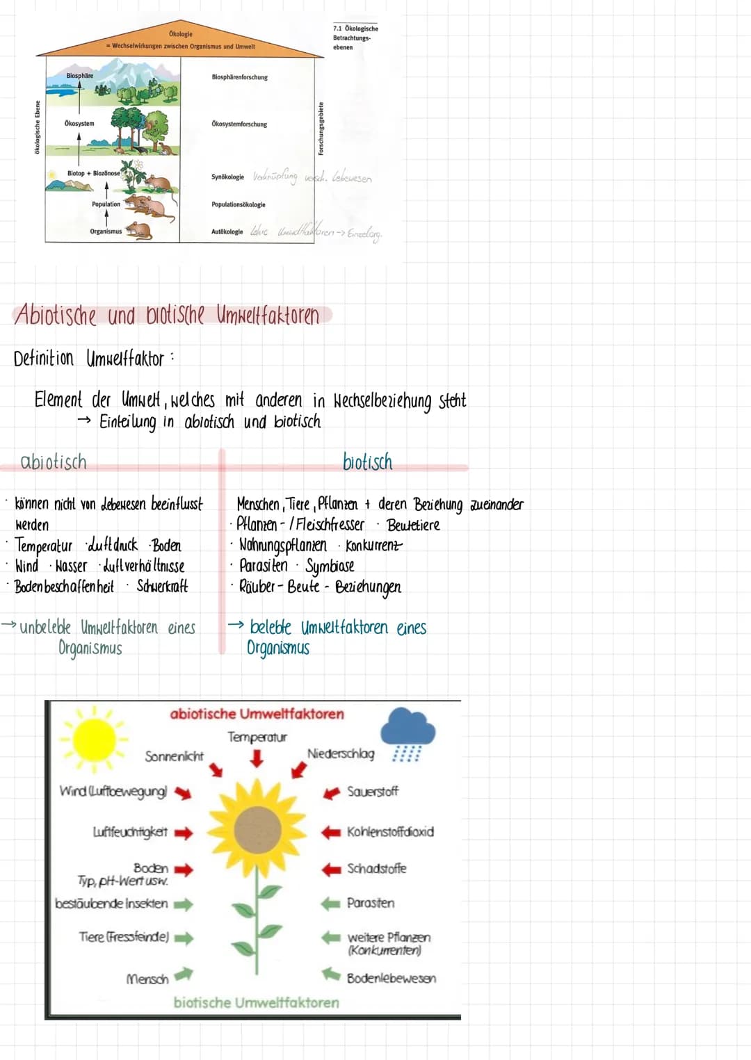 Biologie klausur
Definition
Die Ökologie untersucht die Beziehung der Lebewesen untereinander und zu ihrer Umwelt. Unter Umwelt
versteht man
