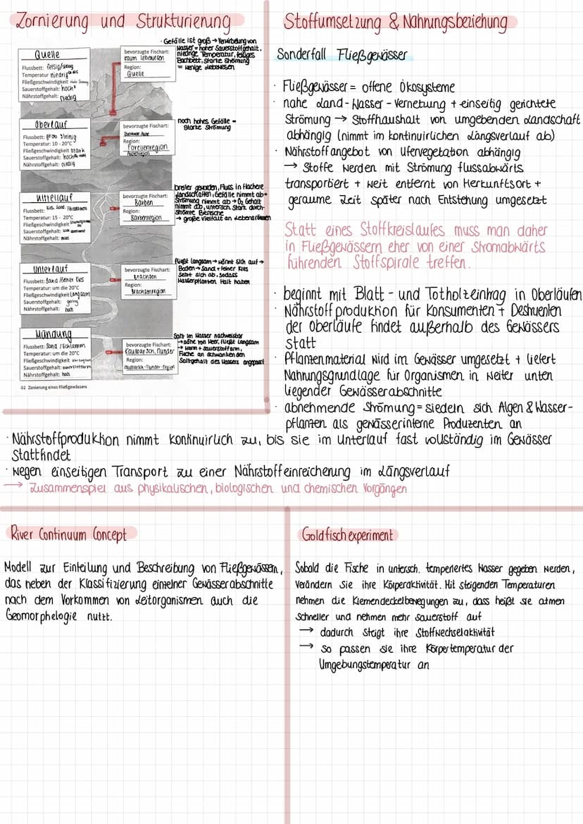 Biologie klausur
Definition
Die Ökologie untersucht die Beziehung der Lebewesen untereinander und zu ihrer Umwelt. Unter Umwelt
versteht man