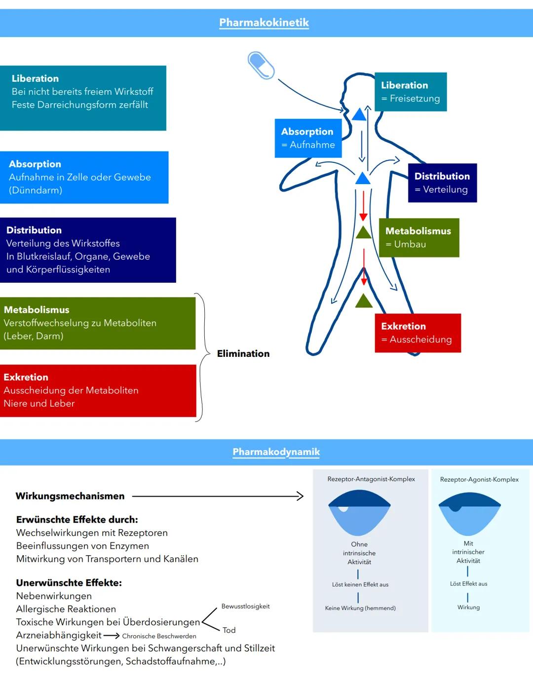 Saft
Zäpfchen
Injektion
Tropfen
|
Linderung:
Schmerzmittel
Arten von Medikamenten
Kuration:
Antibiotika zur Therapie bakterieller Infektione