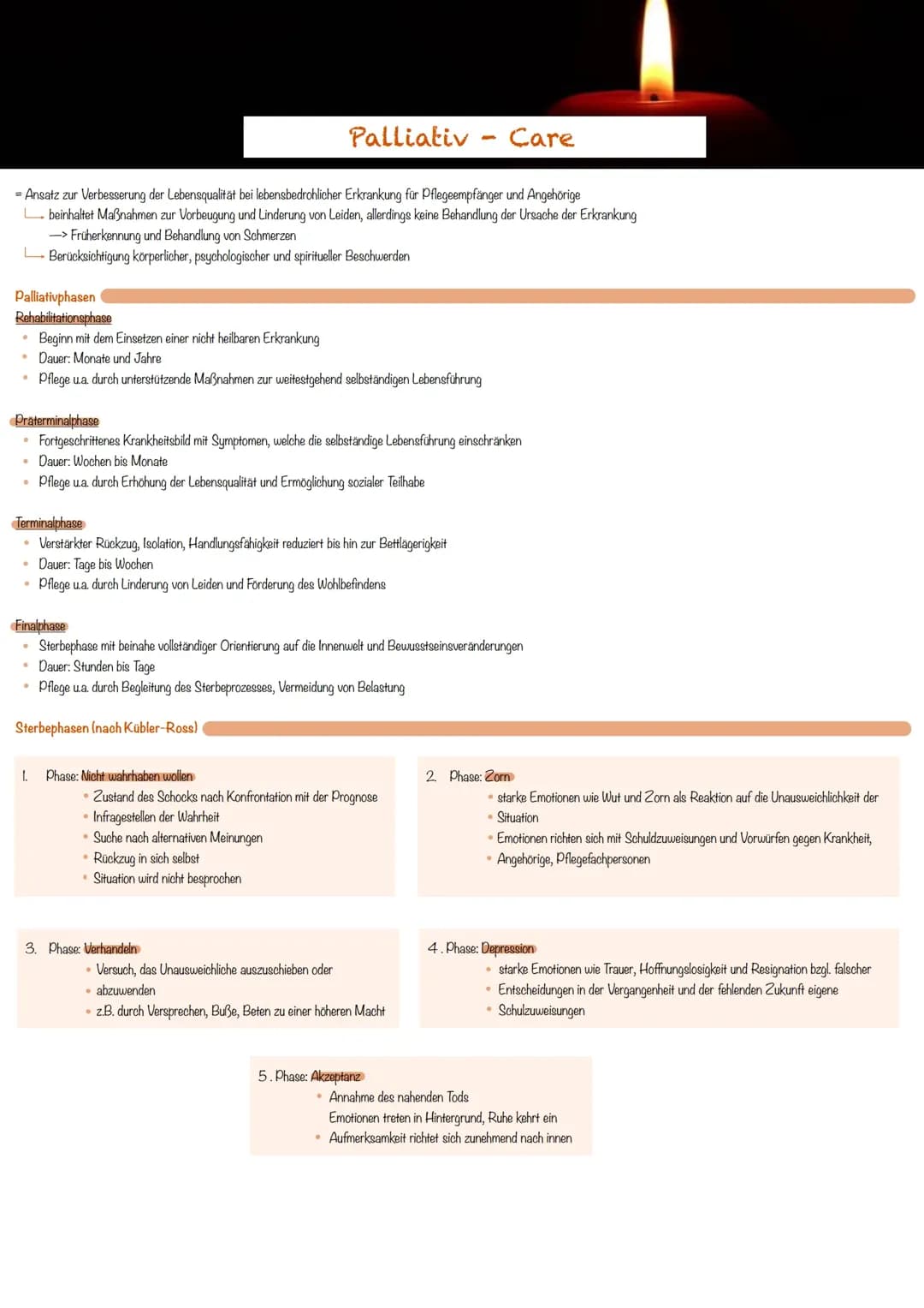 Palliativ Versorgung 