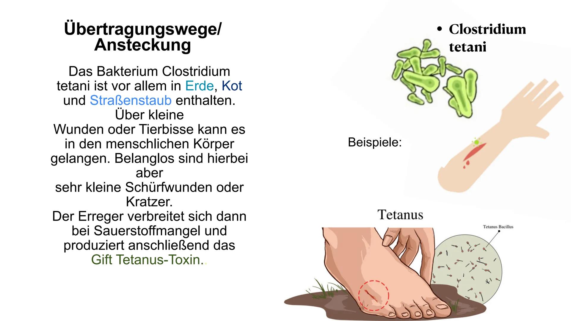 Tetanus
Wundstarrkampf
Amelie und Tasnim
JC
wiki How Erreger, Art des Erregers
• Übertragungswege/Ansteckung
●
●
●
Wirkung des Tetanus-Toxin