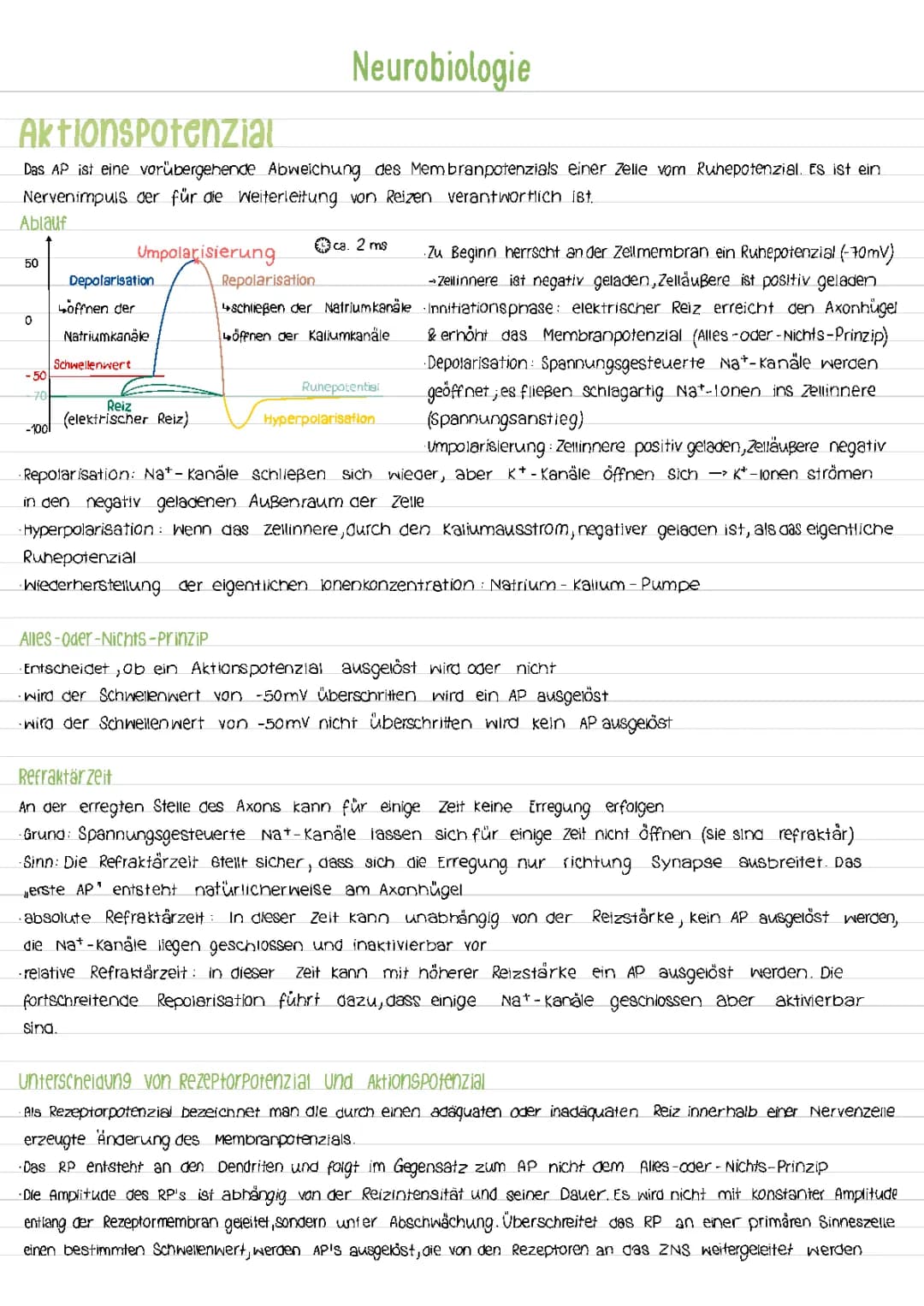 Neurobiologie 