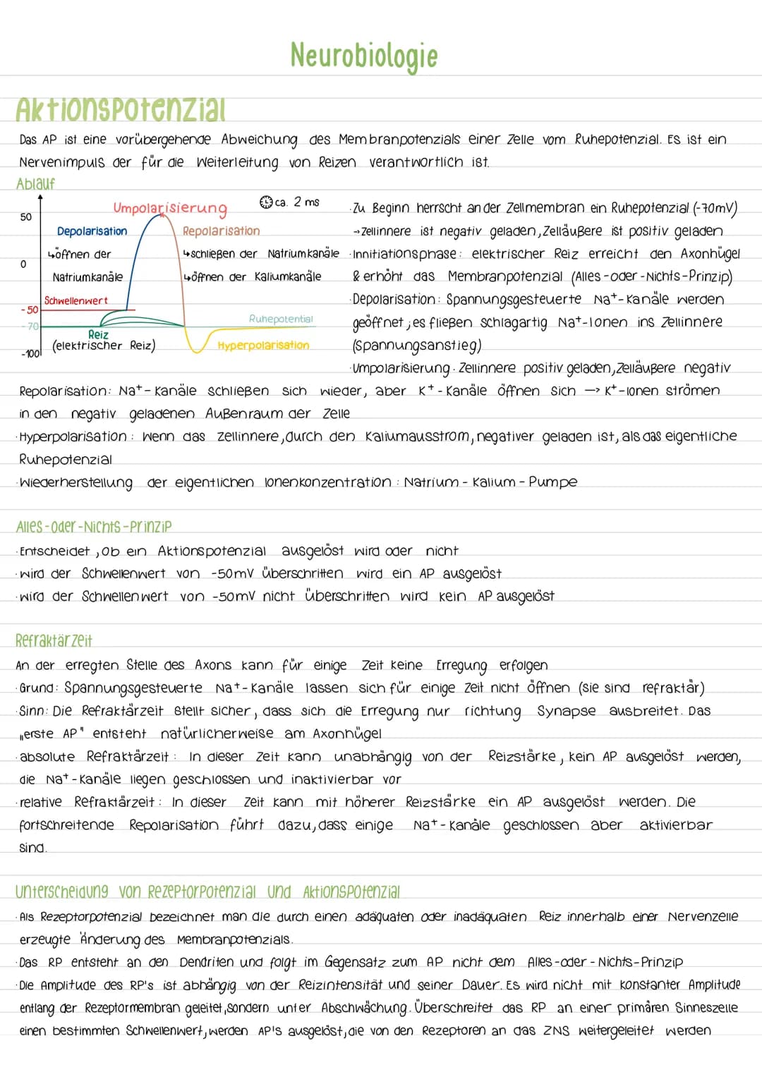 Aktionspotenzial
Das AP ist eine vorübergehende Abweichung des Membranpotenzials einer Zelle vom Ruhepotenzial. Es ist ein
Nervenimpuls der 