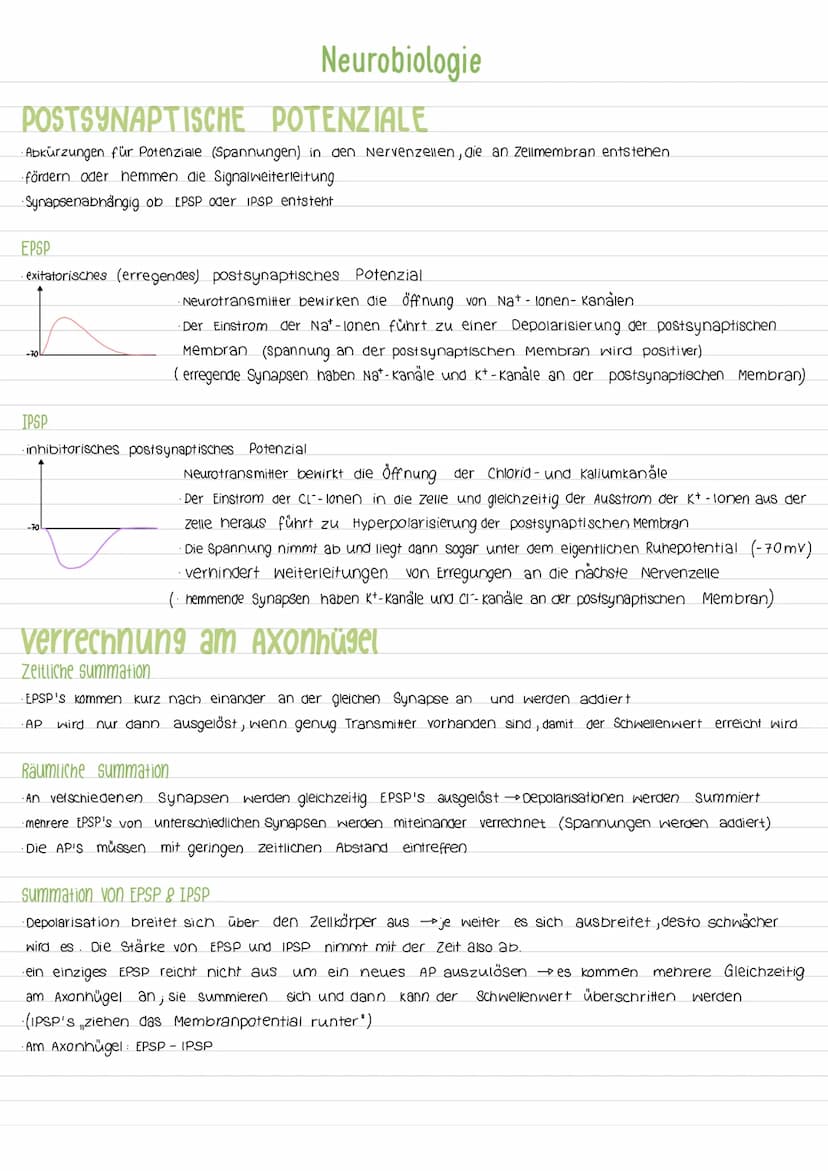 Aktionspotenzial
Das AP ist eine vorübergehende Abweichung des Membranpotenzials einer Zelle vom Ruhepotenzial. Es ist ein
Nervenimpuls der 