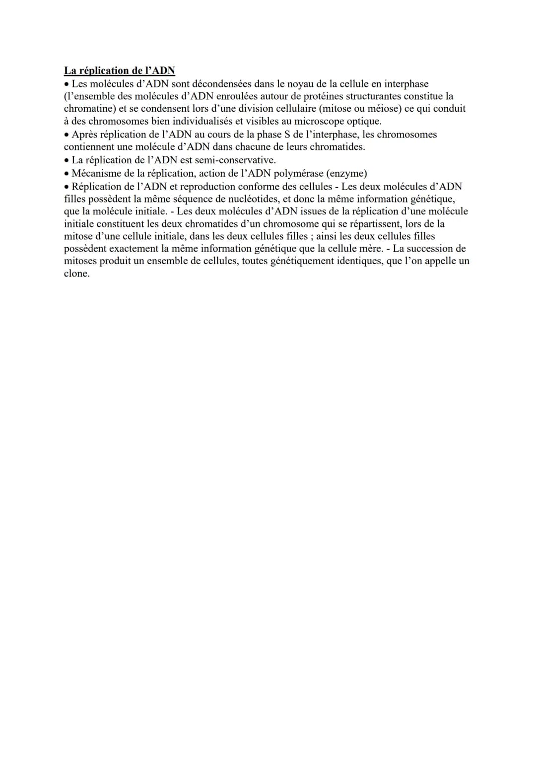 # La réplication de l'ADN

*   Les molécules d'ADN sont décondensées dans le noyau de la cellule en interphase
    (l'ensemble des molécules
