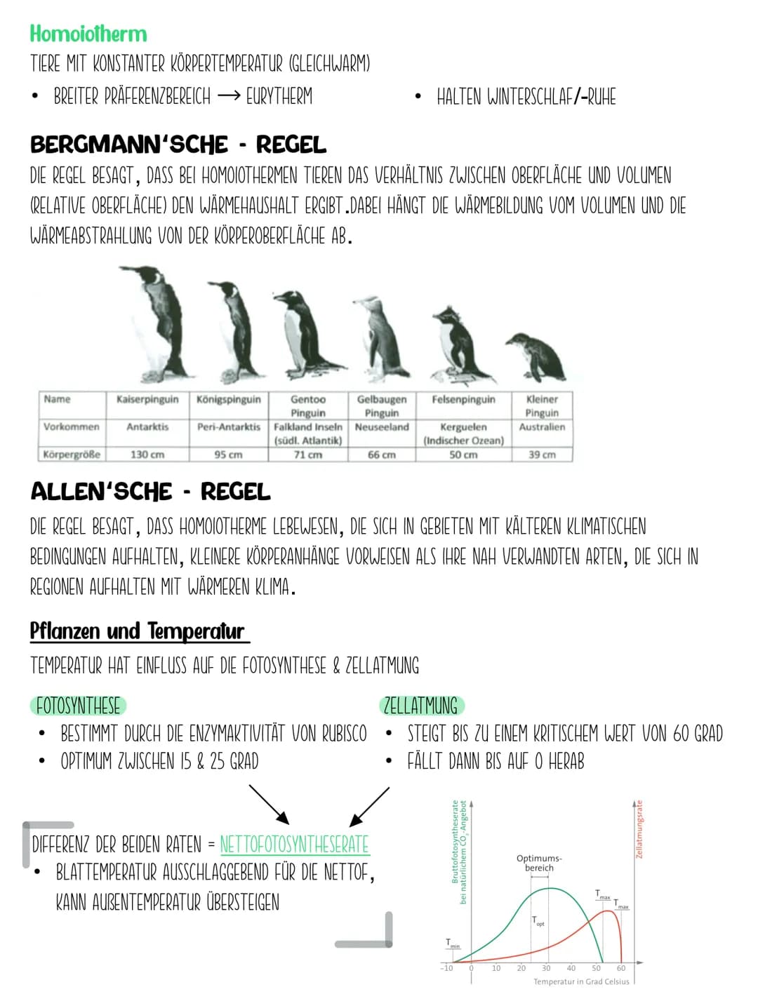 1. BIOSPHÄRE
BIOLOGIE Q2.2
Ökologie-Hierarchie
GESAMTHEIT ALLER ÖKOSYSTEME
2. ÖKOSYSTEM
BIOTOP+ BIOZONOSE
EIN BINOMISCHES SYSTEM DAS ALLE OR