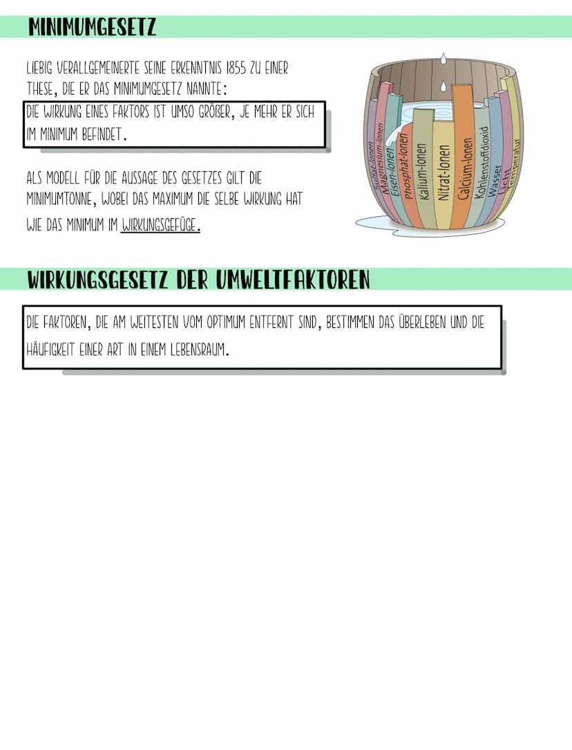 1. BIOSPHÄRE
BIOLOGIE Q2.2
Ökologie-Hierarchie
GESAMTHEIT ALLER ÖKOSYSTEME
2. ÖKOSYSTEM
BIOTOP+ BIOZONOSE
EIN BINOMISCHES SYSTEM DAS ALLE OR