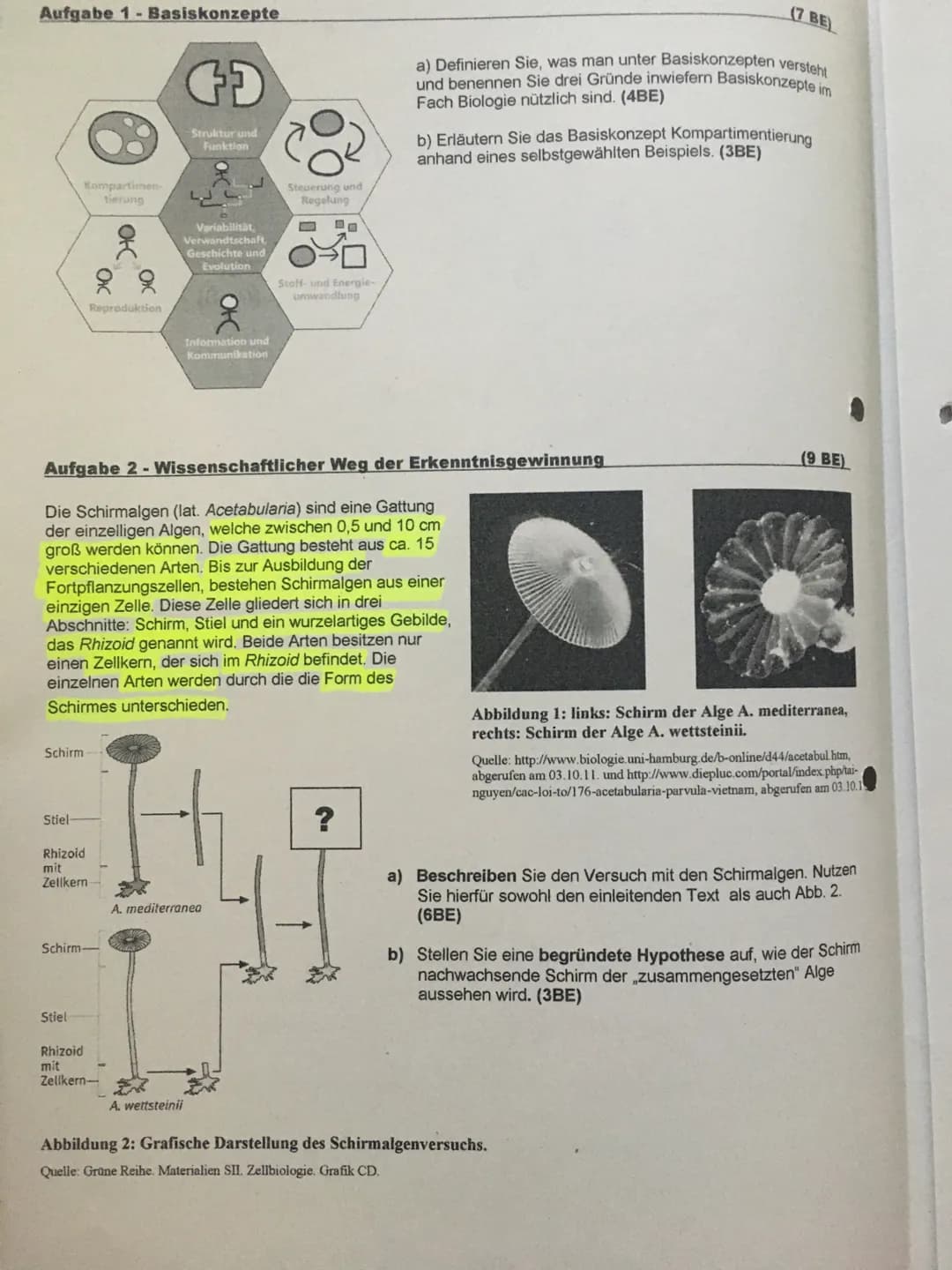 Aufgabe 1- Basiskonzepte
Schirm
Kompartimen-
tierung
Stiel-
Reproduktion
Rhizoid
mit
Zellkern-
OFC
Schirm-
웃
Stiel
Rhizoid
mit
Zellkern-
GD
