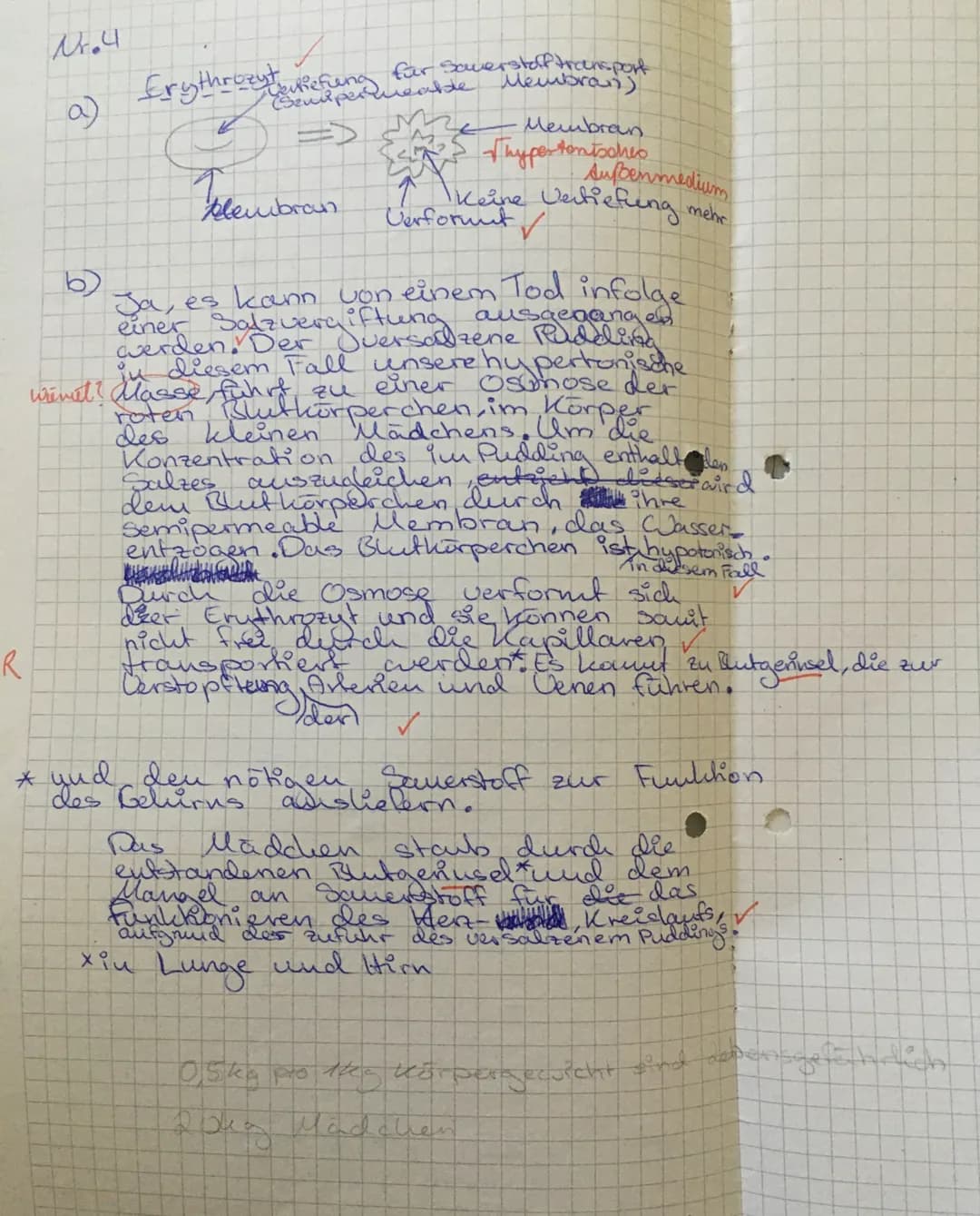 Aufgabe 1- Basiskonzepte
Schirm
Kompartimen-
tierung
Stiel-
Reproduktion
Rhizoid
mit
Zellkern-
OFC
Schirm-
웃
Stiel
Rhizoid
mit
Zellkern-
GD
