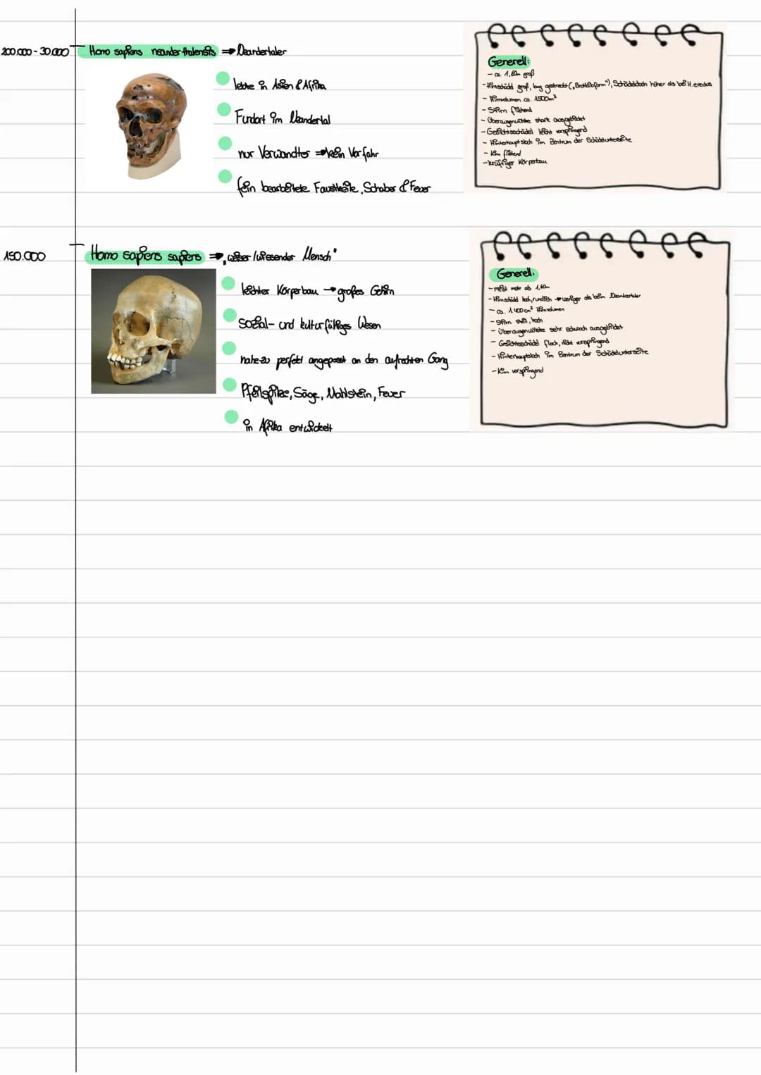 EVOLUTION. MENSCHEN
4 bis 1 198. Australopitecus-Gruppe (als Beispiel: Australopitheous anamensis and afarensis)
→ Australopithecus anamensi