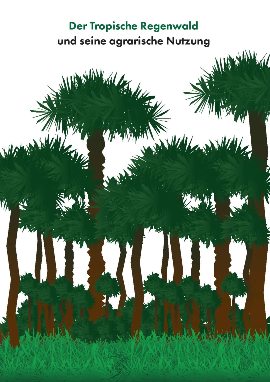 Tropischer Regenwald - Wichtige Infos