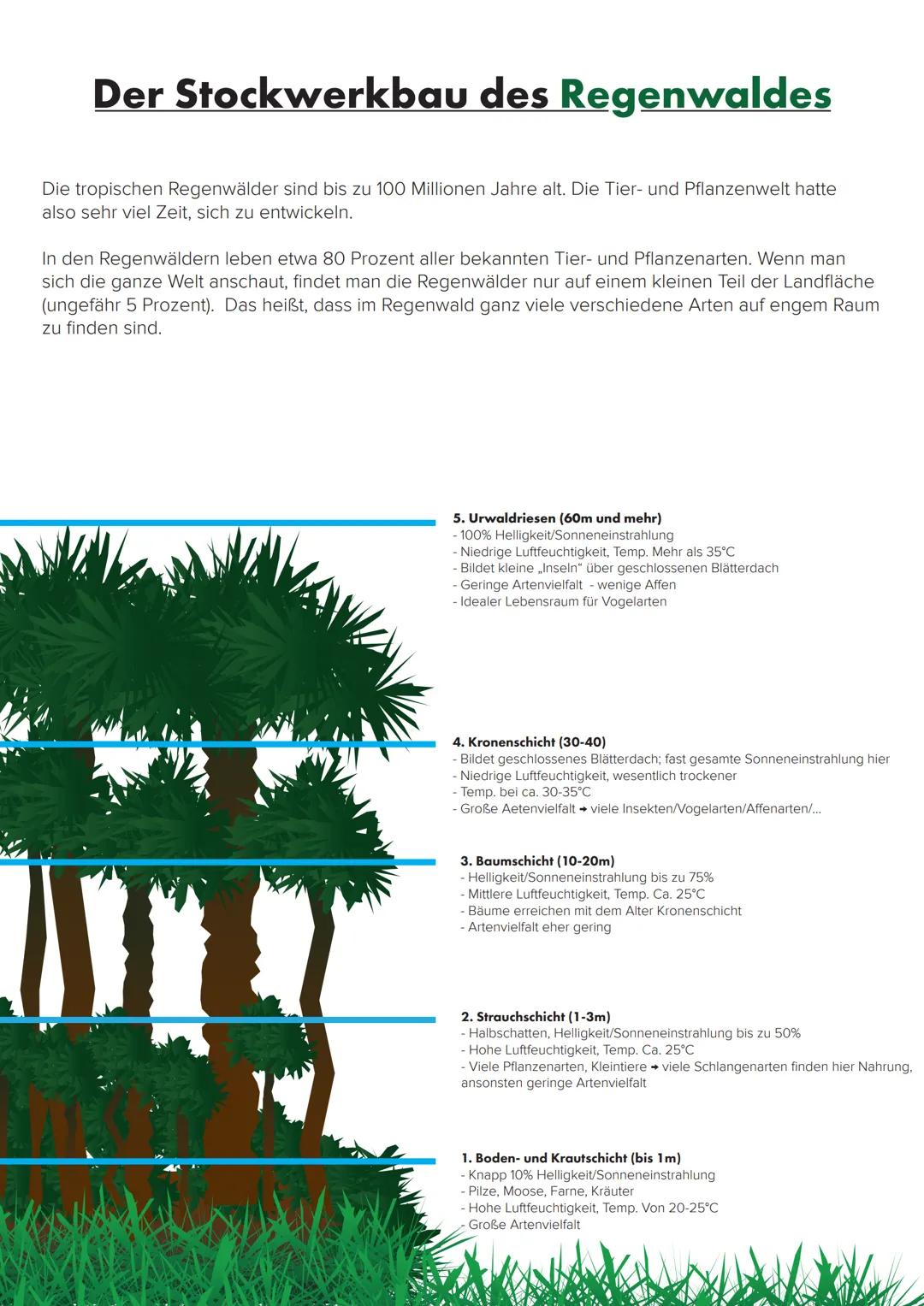Der Tropische Regenwald
und seine agrarische Nutzung
3! Verbreitung tropischer Regenwälder
Nördlicher WK
Äquator
Südlicher WK
Vorkommen und 