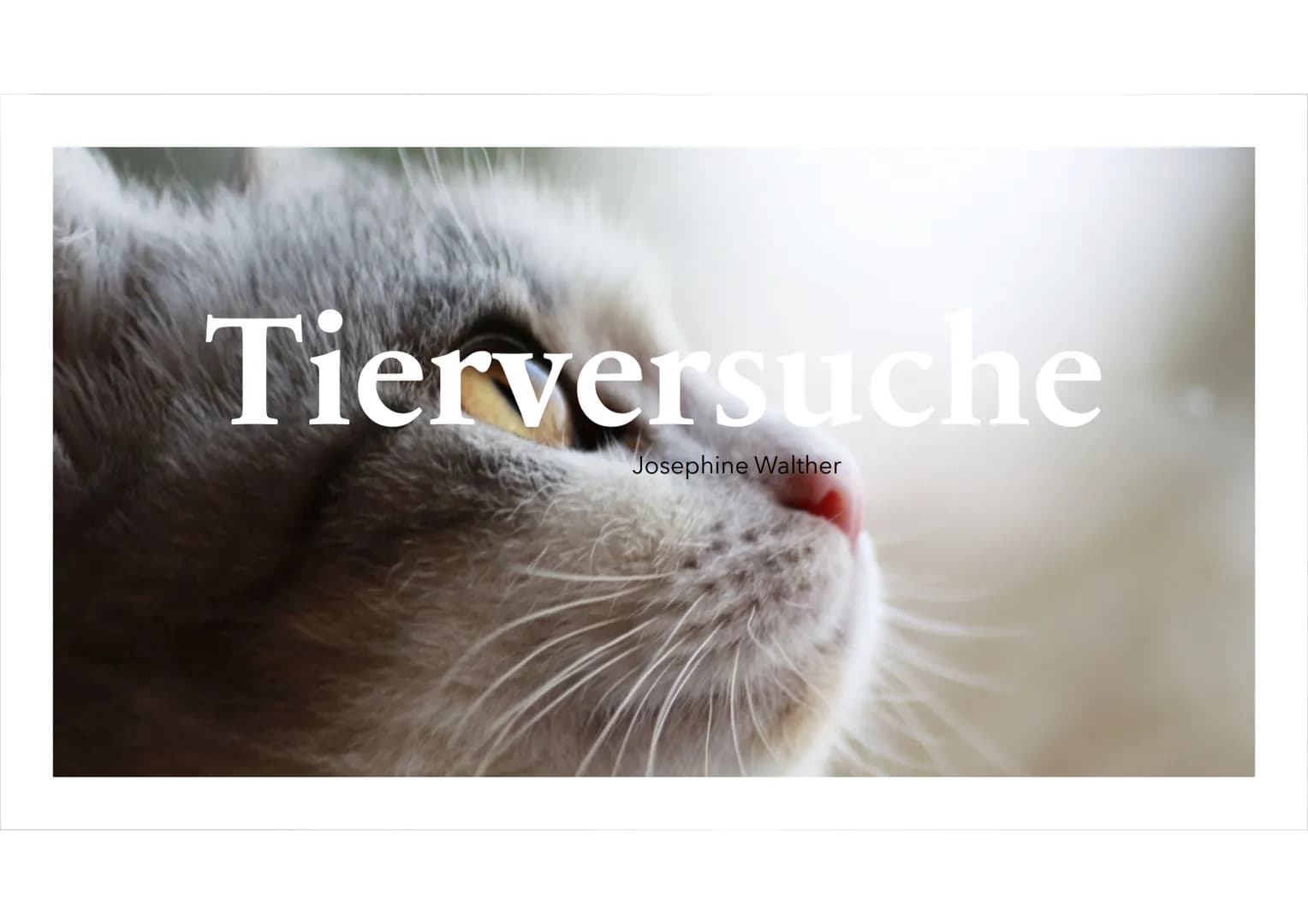 Tierversuche
Josephine Walther Tierversuche unnötige
Tierquälerei oder ein
notwendiges Übel?
M 1
Definition: Tierversuche
2
Wann dürfen Tier