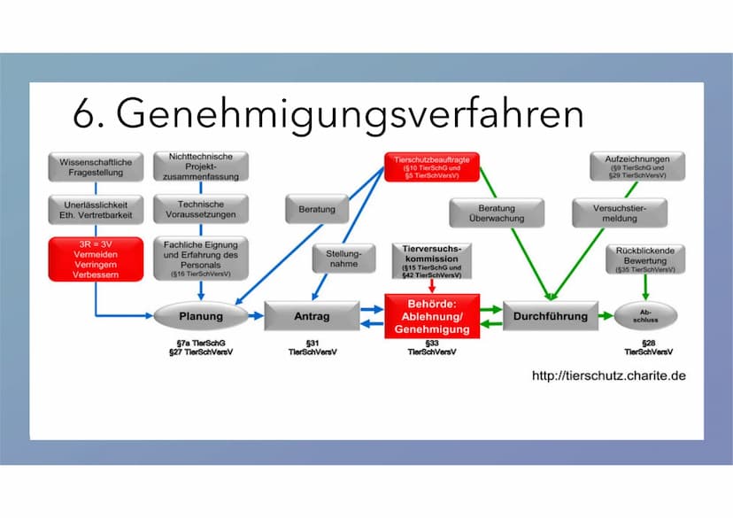 Tierversuche
Josephine Walther Tierversuche unnötige
Tierquälerei oder ein
notwendiges Übel?
M 1
Definition: Tierversuche
2
Wann dürfen Tier