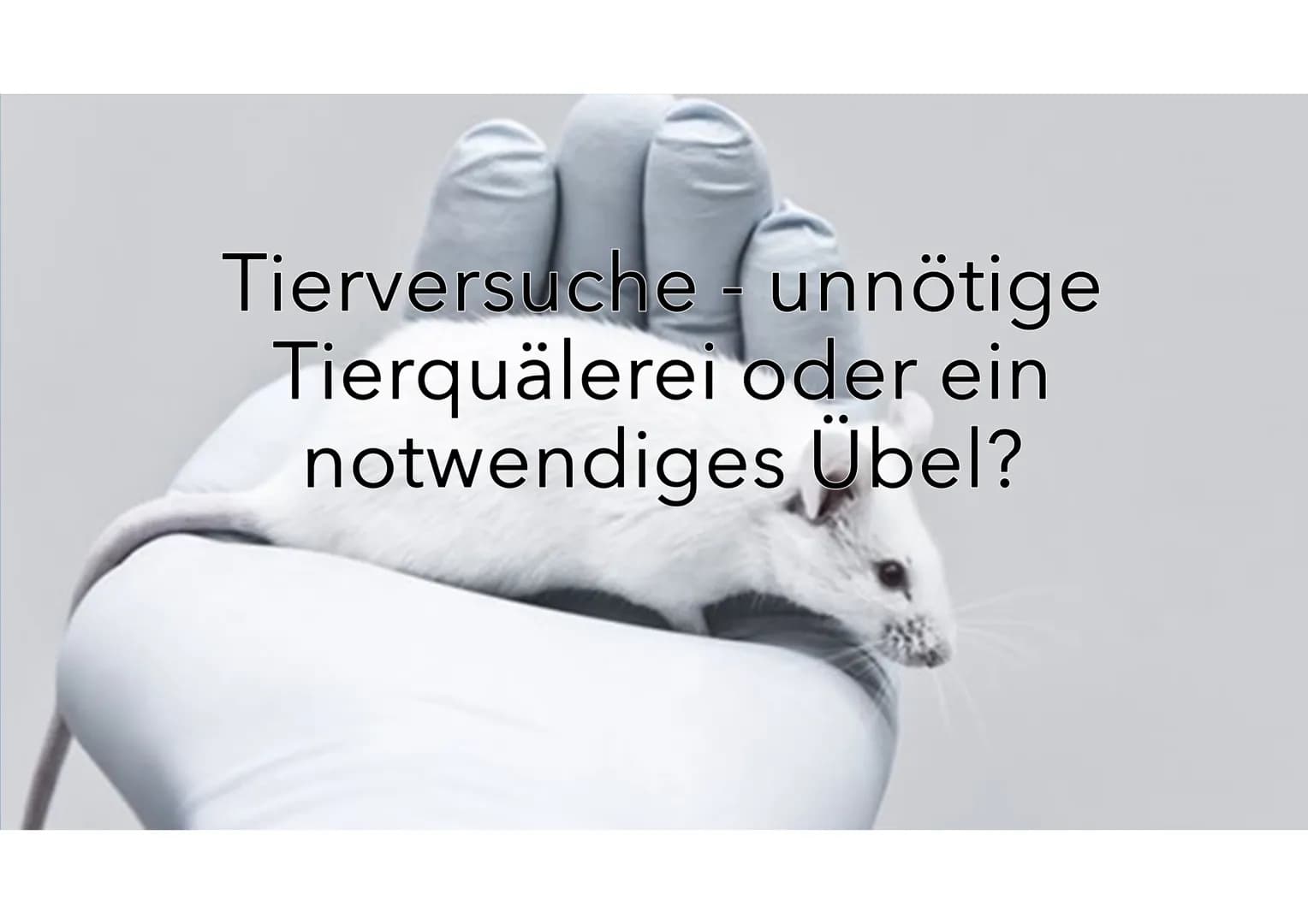 Tierversuche
Josephine Walther Tierversuche unnötige
Tierquälerei oder ein
notwendiges Übel?
M 1
Definition: Tierversuche
2
Wann dürfen Tier