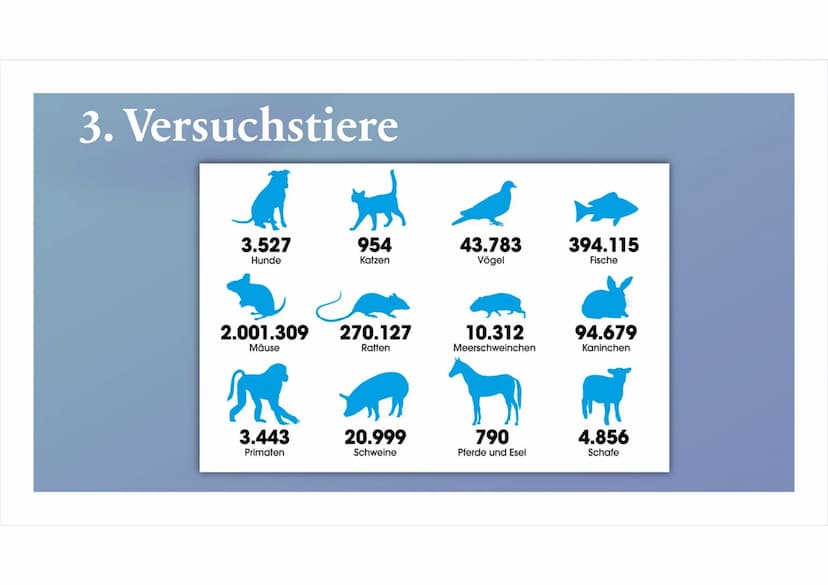Tierversuche
Josephine Walther Tierversuche unnötige
Tierquälerei oder ein
notwendiges Übel?
M 1
Definition: Tierversuche
2
Wann dürfen Tier