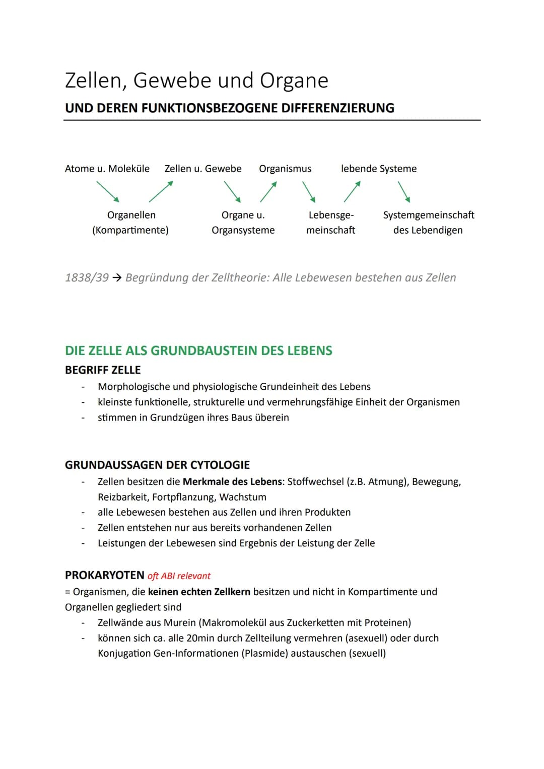 Zellen, Gewebe und Organe
UND DEREN FUNKTIONSBEZOGENE DIFFERENZIERUNG
Atome u. Moleküle Zellen u. Gewebe Organismus
Organellen
(Kompartiment