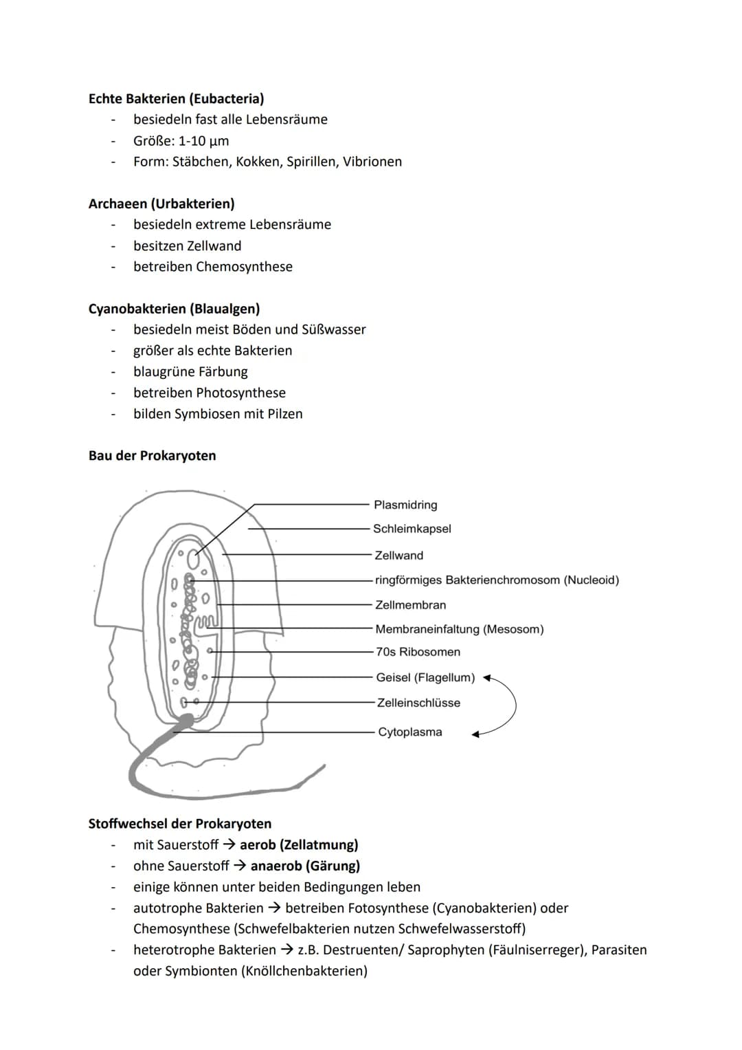 Zellen, Gewebe und Organe
UND DEREN FUNKTIONSBEZOGENE DIFFERENZIERUNG
Atome u. Moleküle Zellen u. Gewebe Organismus
Organellen
(Kompartiment