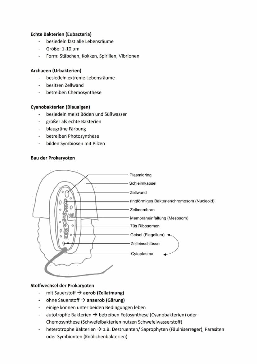 Zellen, Gewebe und Organe
UND DEREN FUNKTIONSBEZOGENE DIFFERENZIERUNG
Atome u. Moleküle Zellen u. Gewebe Organismus
Organellen
(Kompartiment