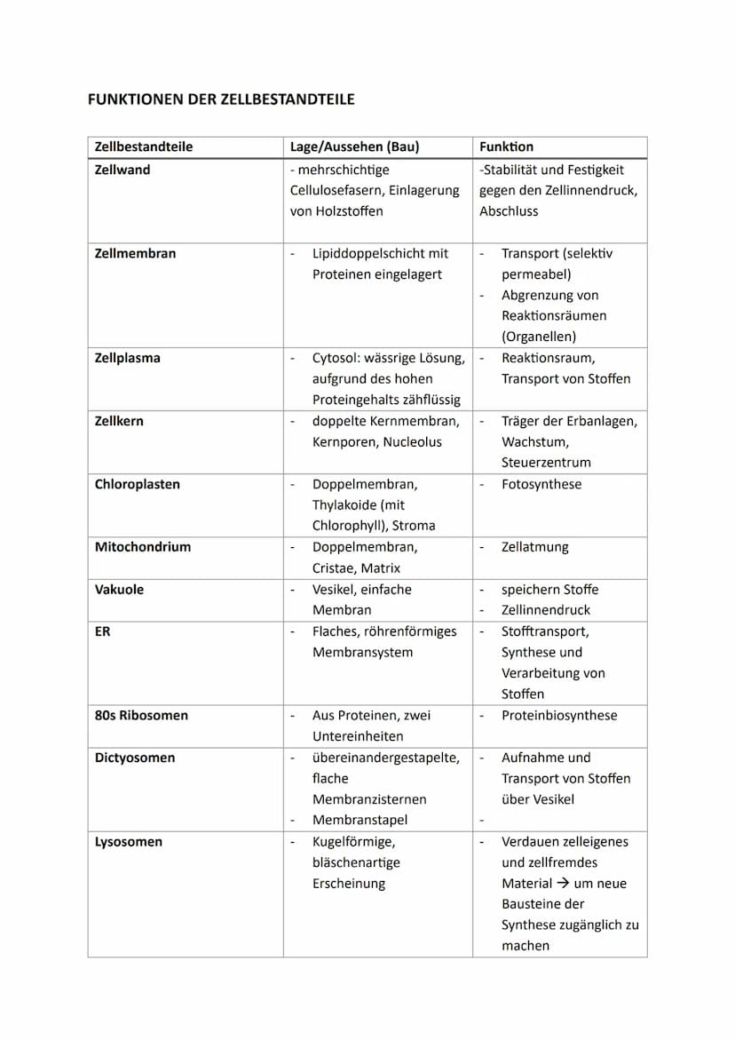 Zellen, Gewebe und Organe
UND DEREN FUNKTIONSBEZOGENE DIFFERENZIERUNG
Atome u. Moleküle Zellen u. Gewebe Organismus
Organellen
(Kompartiment