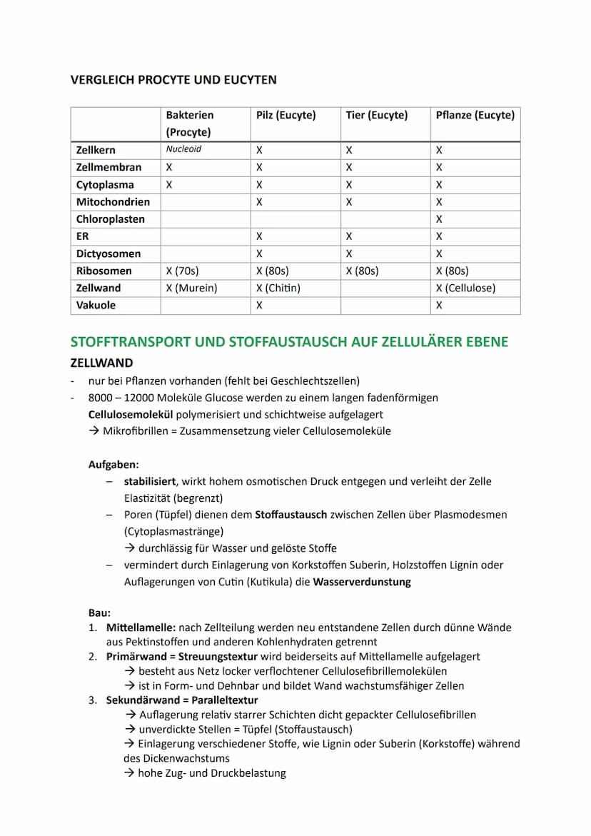 Zellen, Gewebe und Organe
UND DEREN FUNKTIONSBEZOGENE DIFFERENZIERUNG
Atome u. Moleküle Zellen u. Gewebe Organismus
Organellen
(Kompartiment