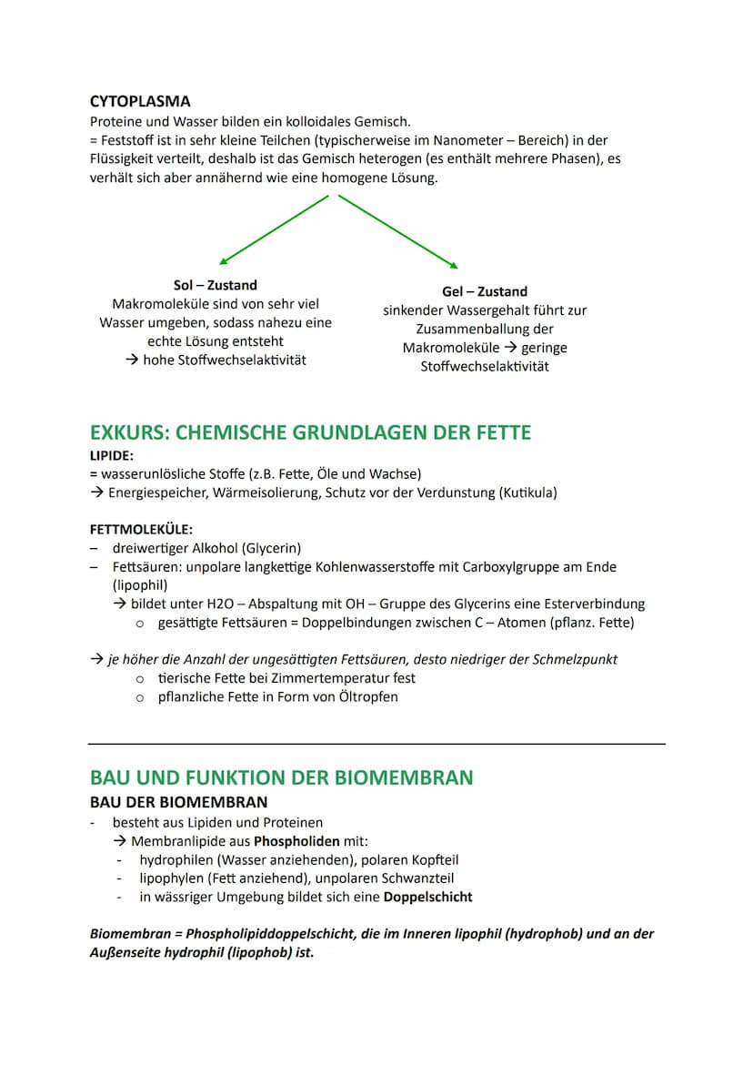 Zellen, Gewebe und Organe
UND DEREN FUNKTIONSBEZOGENE DIFFERENZIERUNG
Atome u. Moleküle Zellen u. Gewebe Organismus
Organellen
(Kompartiment