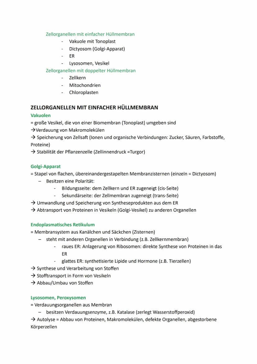 Zellen, Gewebe und Organe
UND DEREN FUNKTIONSBEZOGENE DIFFERENZIERUNG
Atome u. Moleküle Zellen u. Gewebe Organismus
Organellen
(Kompartiment