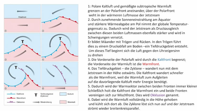  Entstehung und Entwicklung
einer Zyklone Definition: wanderndes Tiefdruckgebiet der gemäßigten Breiten
Entwicklung einer Zyklone
(1) Anfang
