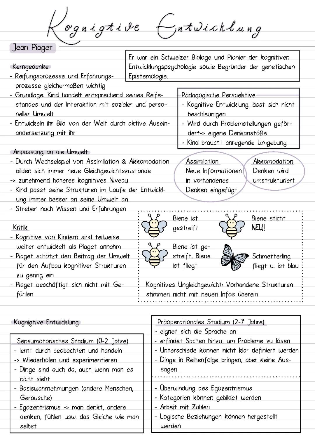 Alles über Piaget und Freud: Stufenmodell, Phasen und Beispiele einfach erklärt