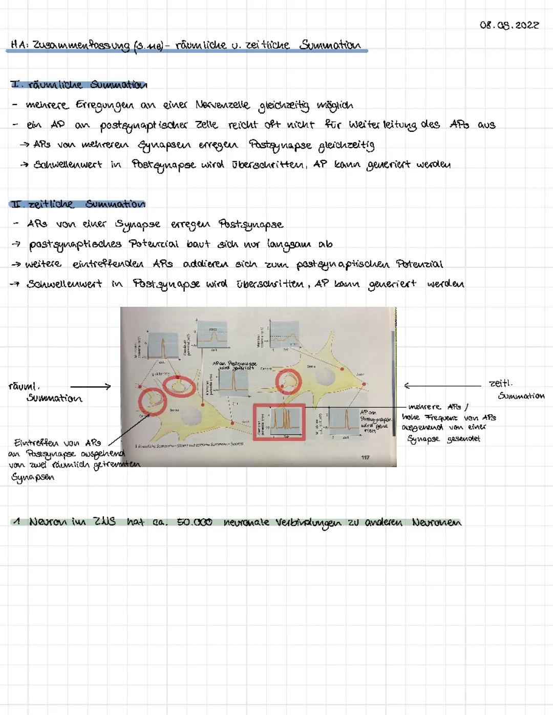 Räumliche und zeitliche Summation