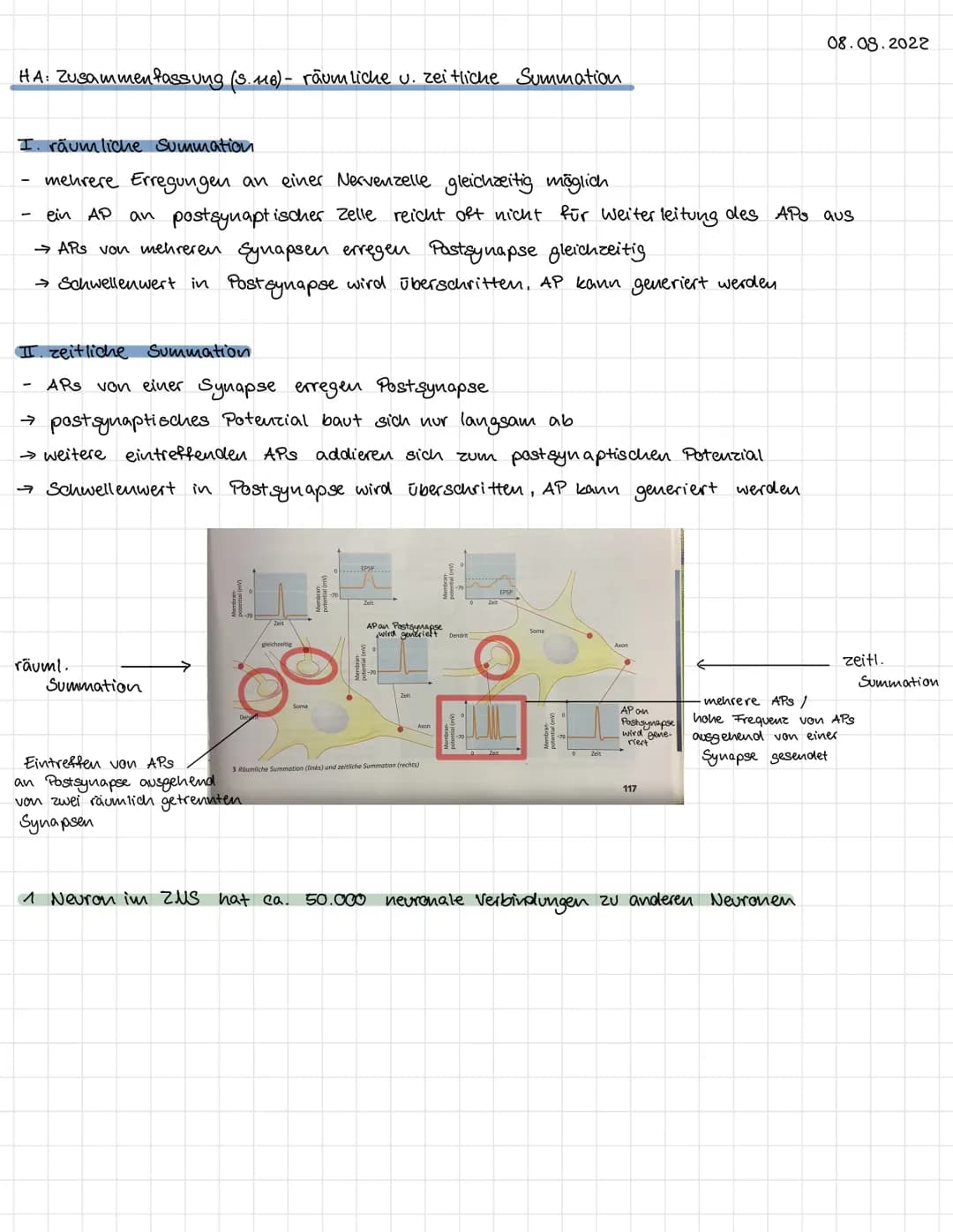 HA: Zusammenfassung (3.16) - räumliche u. zeitliche Summation
I. räumliche Summation
mehrere Erregungen an einer Nervenzelle gleichzeitig mö
