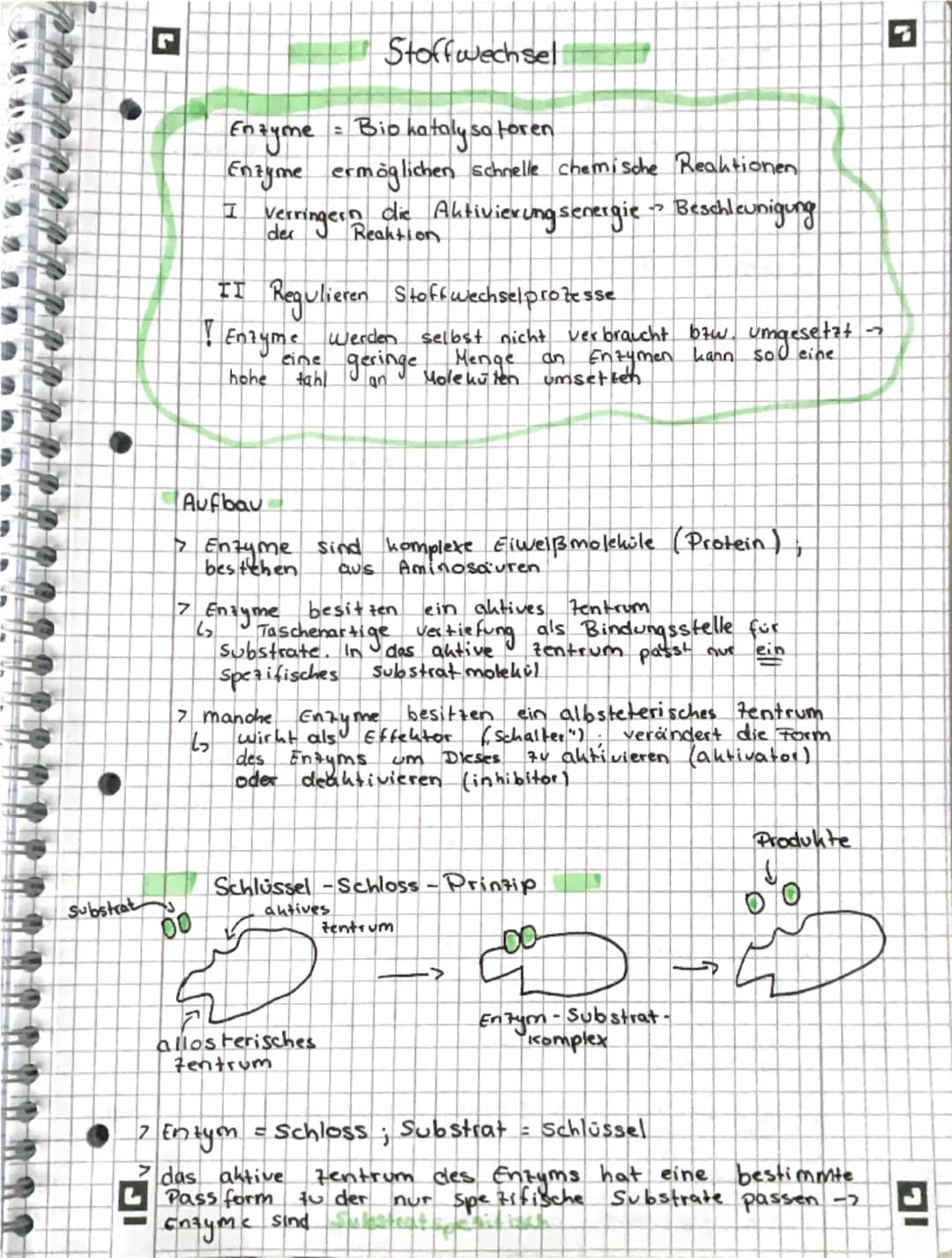 --- OCR Start ---
그
Stoffwechsel
Enzyme = Bio kataly sa toren
Enzyme ermöglichen schnelle chemische Reaktionen
I Verringern die Aktivierungs