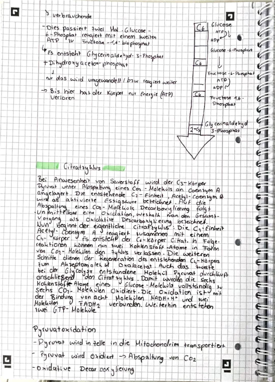 --- OCR Start ---
그
Stoffwechsel
Enzyme = Bio kataly sa toren
Enzyme ermöglichen schnelle chemische Reaktionen
I Verringern die Aktivierungs