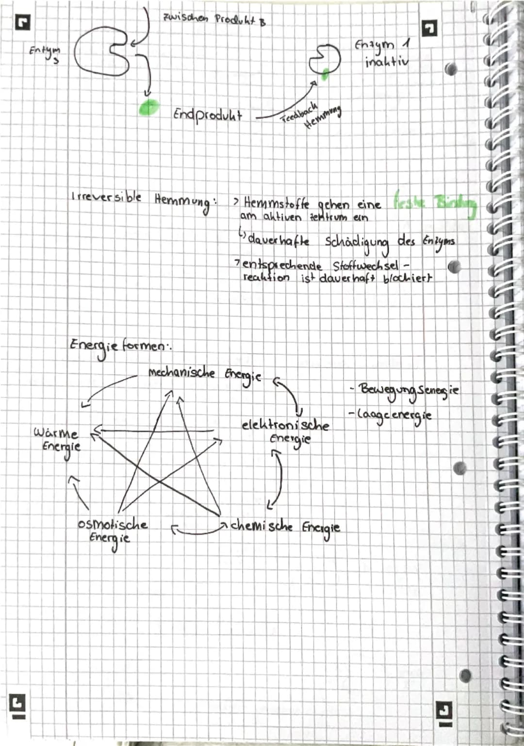 --- OCR Start ---
그
Stoffwechsel
Enzyme = Bio kataly sa toren
Enzyme ermöglichen schnelle chemische Reaktionen
I Verringern die Aktivierungs