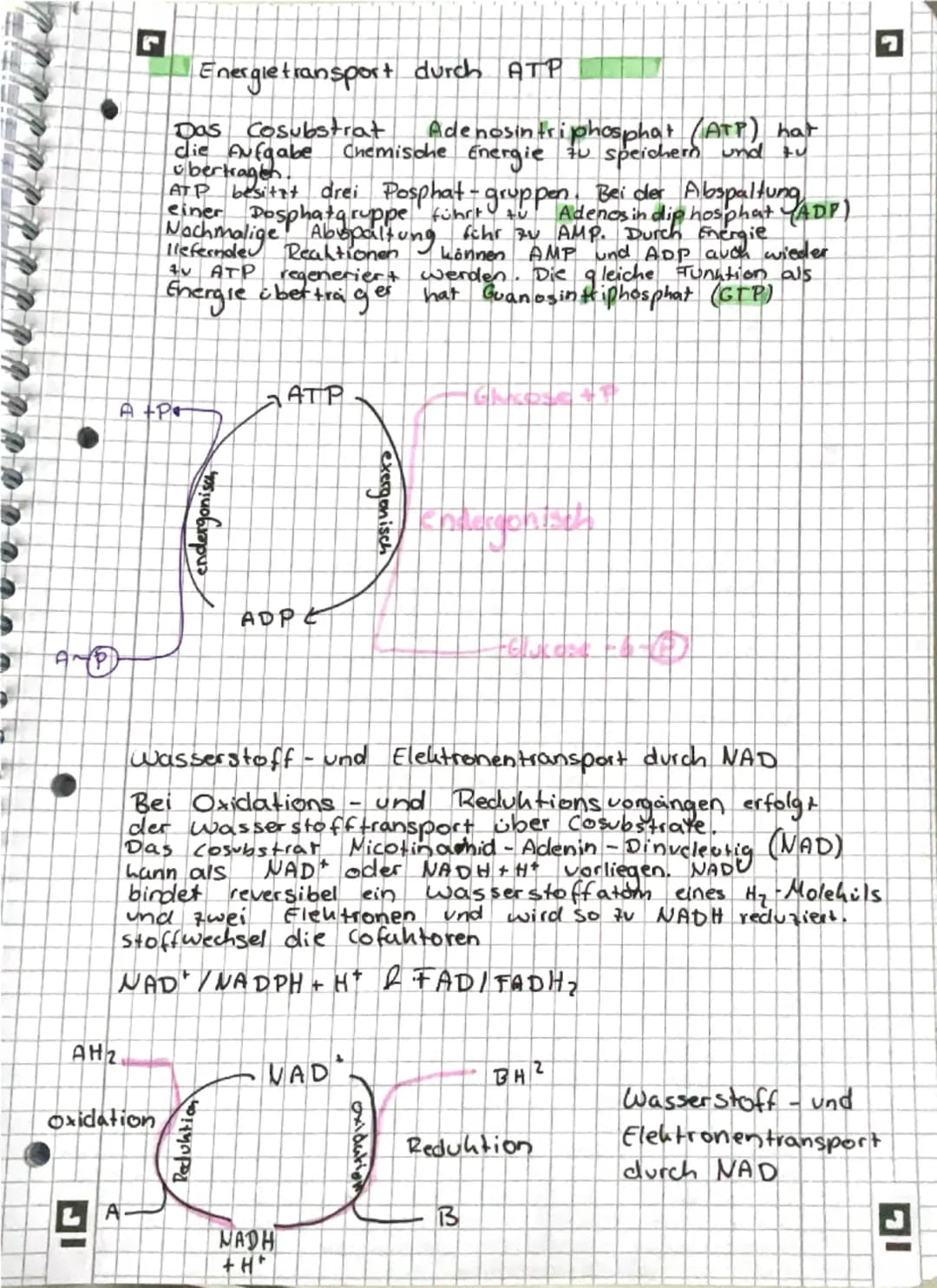 --- OCR Start ---
그
Stoffwechsel
Enzyme = Bio kataly sa toren
Enzyme ermöglichen schnelle chemische Reaktionen
I Verringern die Aktivierungs