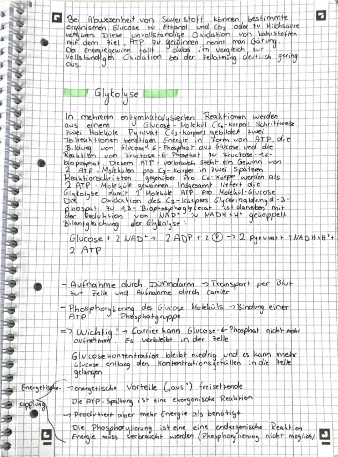--- OCR Start ---
그
Stoffwechsel
Enzyme = Bio kataly sa toren
Enzyme ermöglichen schnelle chemische Reaktionen
I Verringern die Aktivierungs